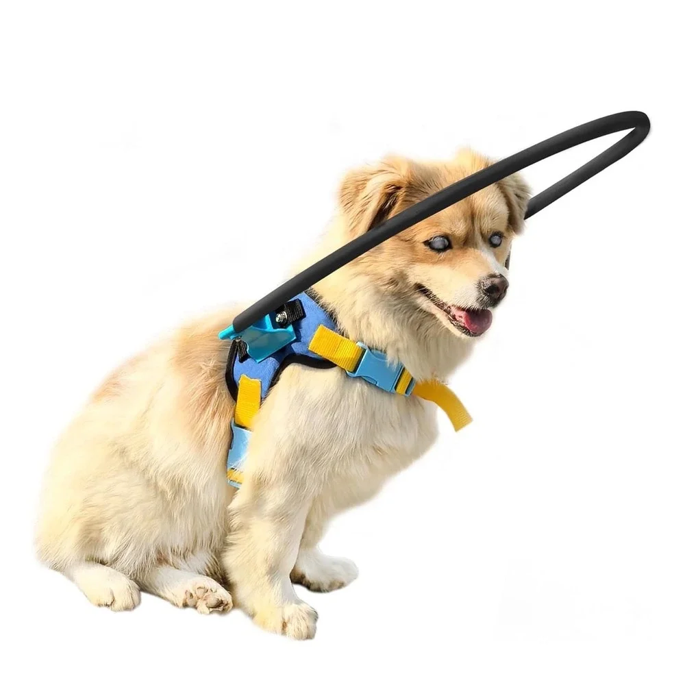 Blind Dog Halo‎ Harness Protective Guiding Device XS Black Blue Yellow PC-B-XS